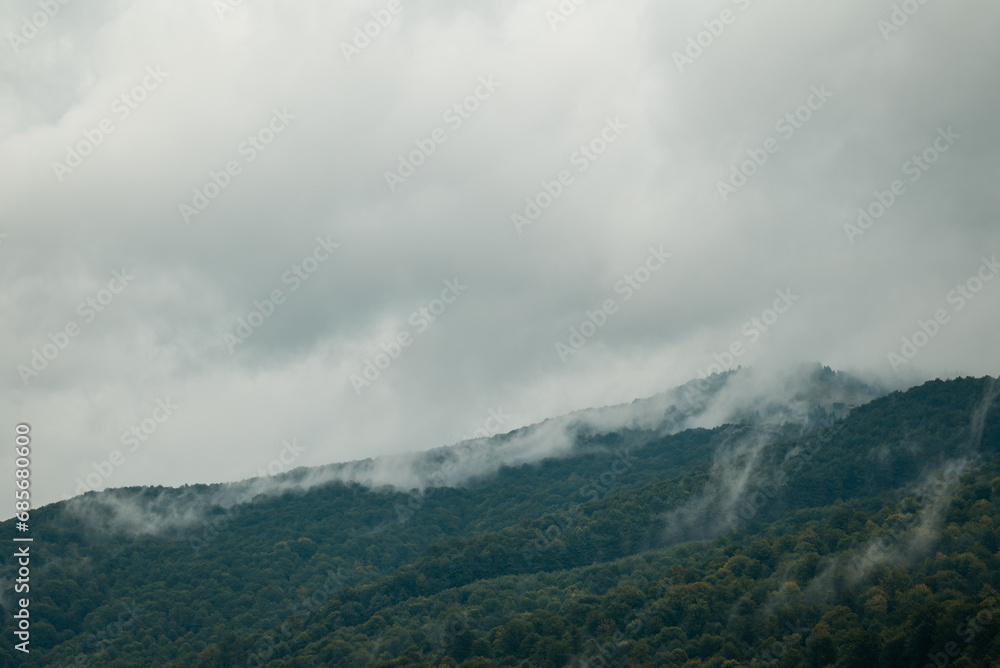 Tops of the mountains in fog on a cloudy weather in summer. Misty landscape with the beech forest, gloomy atmosphere