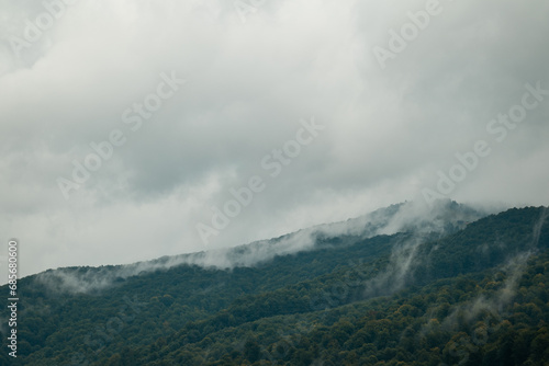 Tops of the mountains in fog on a cloudy weather in summer. Misty landscape with the beech forest, gloomy atmosphere © Vitalii