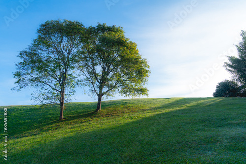Landscape view of trees on mountain hill foreground with grass field and background with clear blue sky.