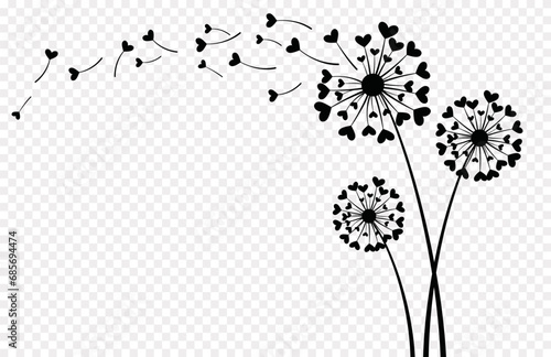 Dandelion flower with hearts love concept isolated on transparent background. Vector illustration