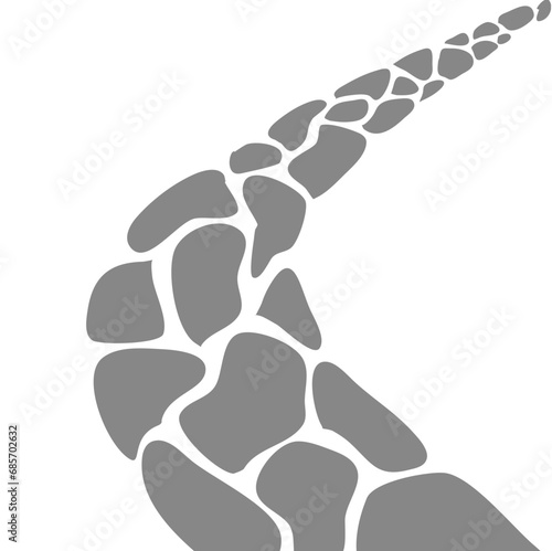 Garden Path of stone