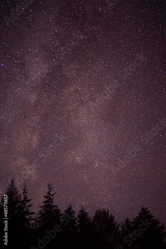 The milky way galaxy observed from a wild and dark place. Night details with the sky full of stars and silhouettes of trees