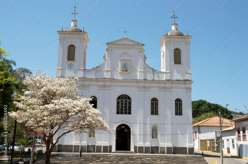 Church of São Luís de Tolosa photographed with beautiful white Ypê tree in flower on the left
