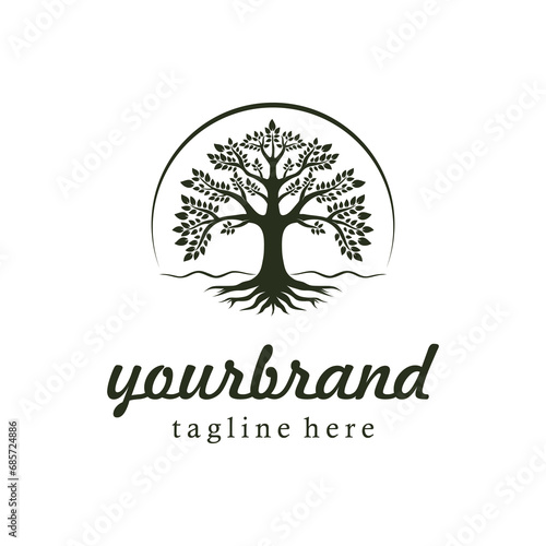 Tree of Life Root and Leaf logo design, Abstract Balance Oak Banyan Maple logo vector illustration photo