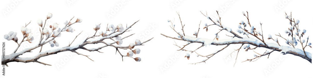 Vector watercolor illustration branches with snow，winter branches，Christmas branches