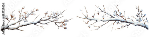 Vector watercolor illustration branches with snow，winter branches，Christmas branches