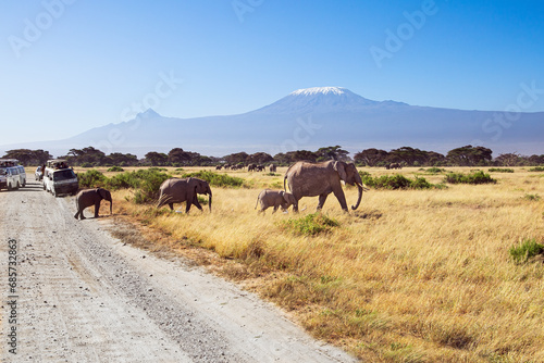 The park Amboseli. © Kushnirov Avraham