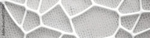 close-up image of a foam structure with a white, interconnected web pattern on a bubbly grey background, resembling a biological cell structure photo