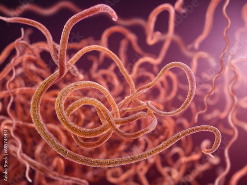 Borrelia burgdorferi - spirochetes are long and slender bacteria. A cluster of bacteria. Spirochete, (order Spirochaetales), group of spiral-shaped bacteria. 3d graphic illustration. photo