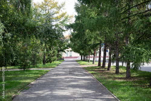 Foto lush greenery in the central park in the city of Omsk in summer2023