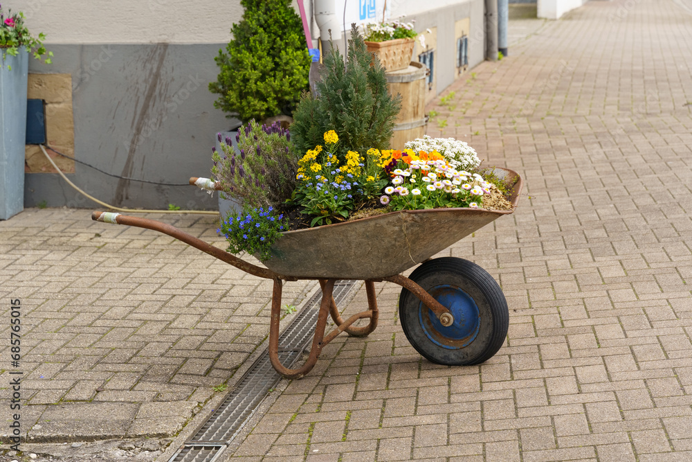 An original flower bed made from an old wheelbarrow on a city street.