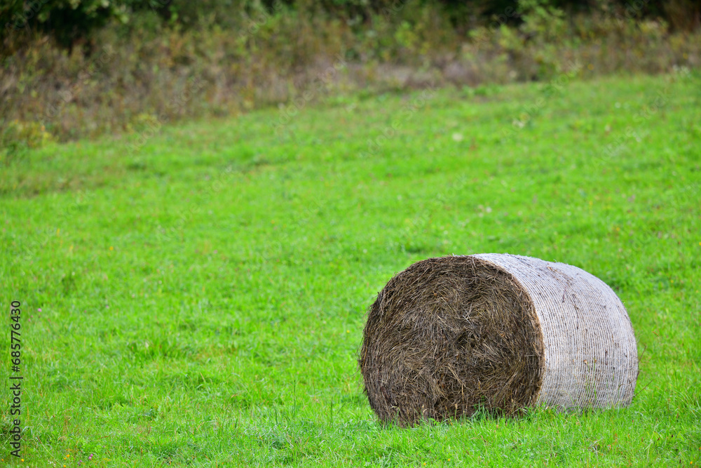A close-up detail of a hay bale on a meadow in summer for feeding farm animals