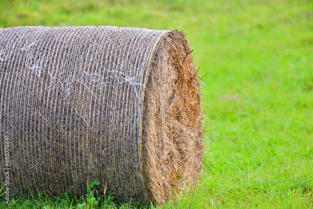 A close-up detail of a hay bale on a meadow in summer for feeding farm animals