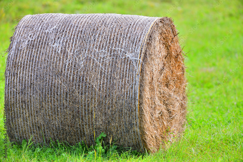 A close-up detail of a hay bale on a meadow in summer for feeding farm animals
