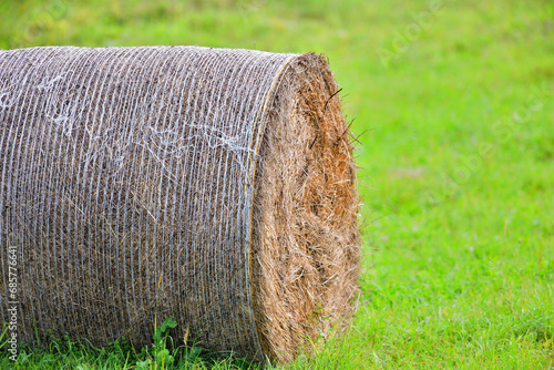 Obraz na płótnie A close-up detail of a hay bale on a meadow in summer for feeding farm animals w salonie