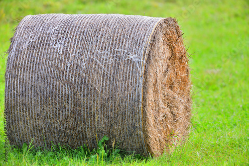 A close-up detail of a hay bale on a meadow in summer for feeding farm animals