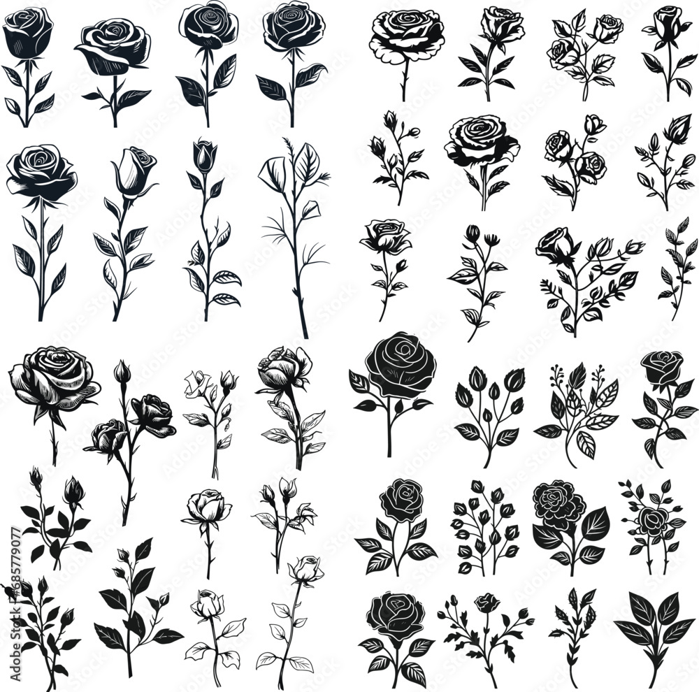 set of rose illustration isolated floral flower drawing black and white vector graphic element beautiful decoration design blossom collection