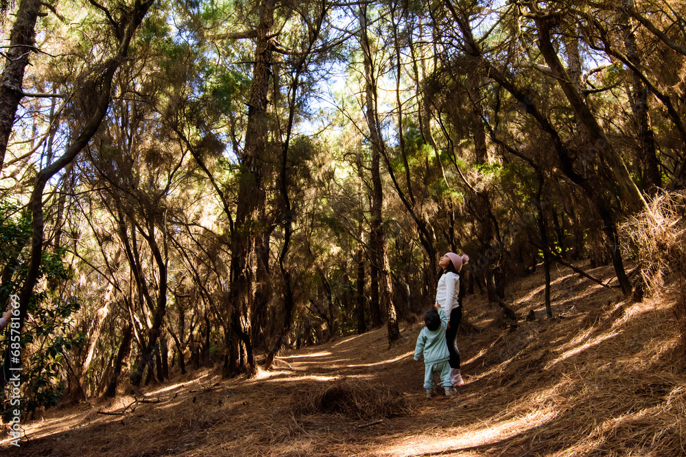 Fototapeta premium Brothers looking up in the forest, the trees