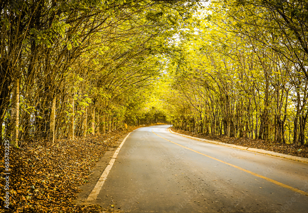 Fototapeta premium Estrada do distrito Acuruí para Itabirito-MG