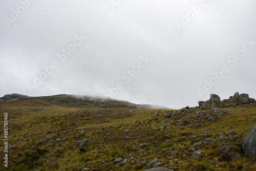 clouds and fog above the vegetation and rocks