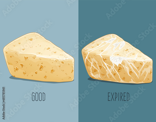Fresh cheese. Expired cheese, moldy cheese. How to identify expired food. Comparison of fresh and expired cheese. Vector illustration. 