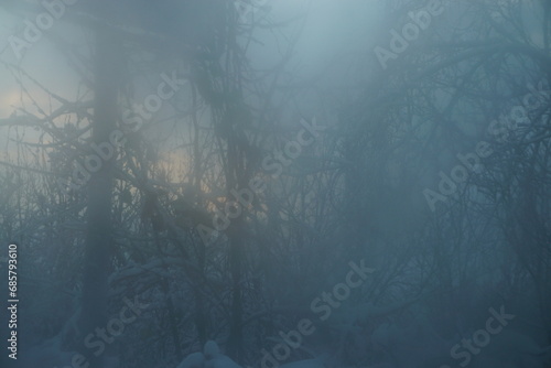 Abstraktes Motiv mit dunkler  Baumlandschaft vor Himmel mit aufgehender Sonne bei Schnee und Nebel am frühen Morgen im Winter