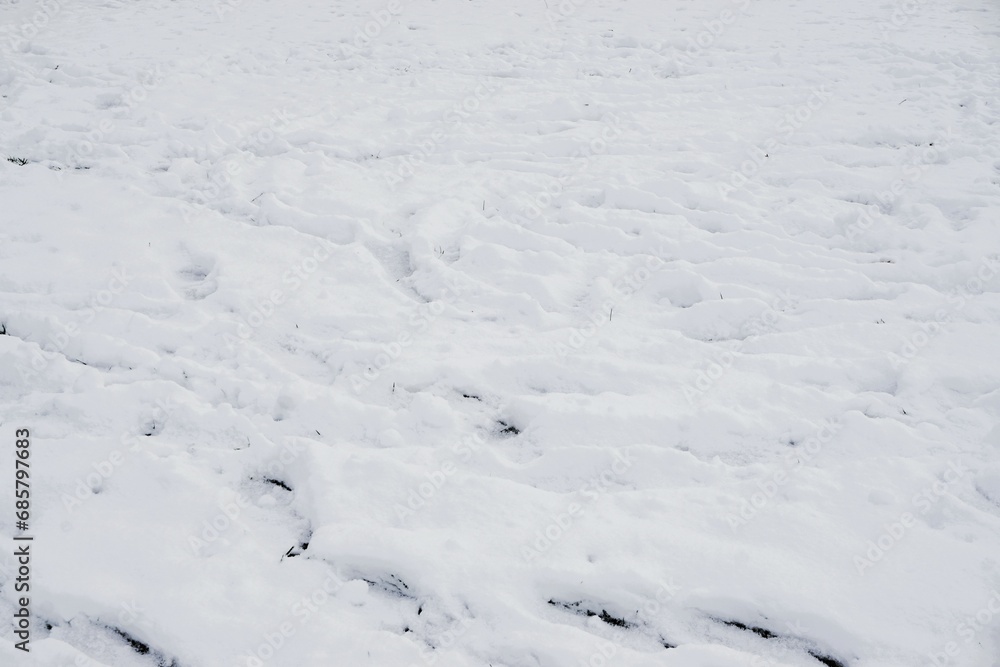 Schneebedeckte Wiese mit Fußabdrücken am Nachmittag im Winter