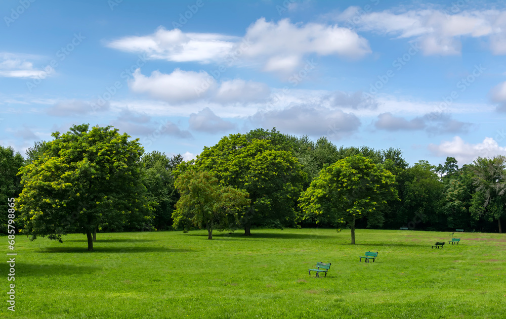 Scenic view of Squibnocket Park on a summer day, Watertown, MA, USA Scenic view of Squibnocket Park on a summer day, Watertown, MA, USA