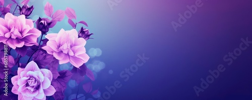 Horizontal purple and pink flowers background. Spring banner for 8 march woman´s day and mother's day, large copy space for text. wallpaper and banner