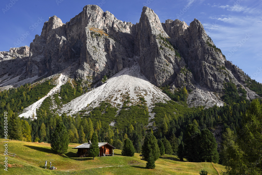 Panorama of Dolomites in Italy with yellow-green fir-trees around them. Sunny day. The brown hut is on the meadow with yellow green grass. Calmness. Nature background 