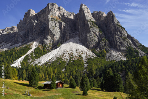 Panorama of Dolomites in Italy with yellow-green fir-trees around them. Sunny day. The brown hut is on the meadow with yellow green grass. Calmness. Nature background 