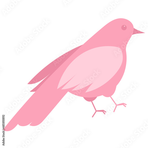 pink pigeon illustration