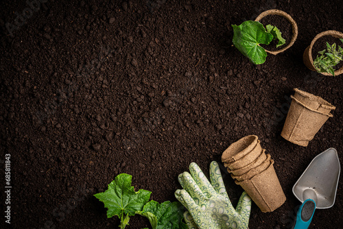 Garden tools and plants on a soil background. Spring garden works concept.