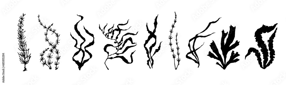 Set of seaweed silhouettes.Vector decorative elements.