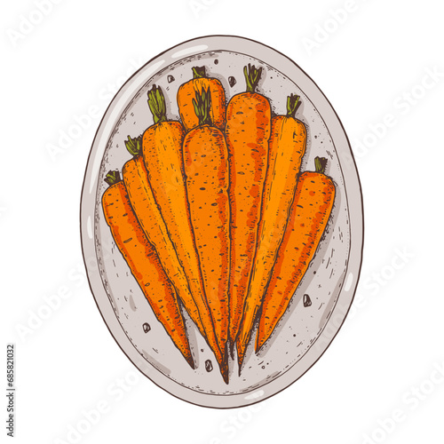 Roasted young whole carrot. Hand drawn vector illustration. Top view.
