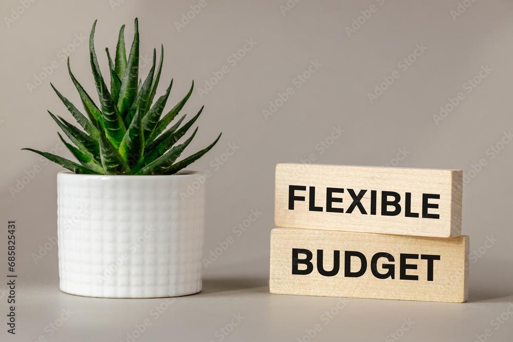  Concept words Flexible budget on wooden blocks. Beautiful szare background with succulent plant. Flexible budget symbol and concept. Copy space - obrazy, fototapety, plakaty 