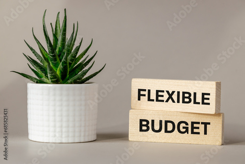  Concept words Flexible budget on wooden blocks. Beautiful szare background with succulent plant. Flexible budget symbol and concept. Copy space photo