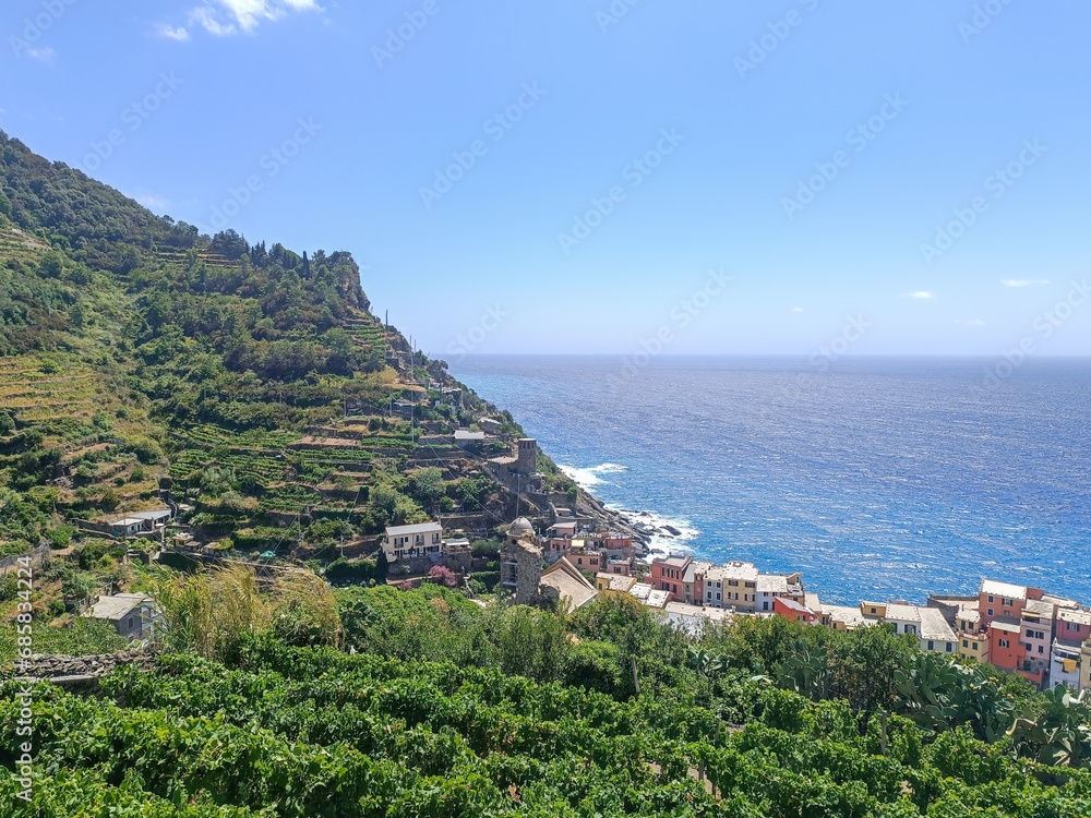 Vineyard grown on a mountain with Vernazza village in the background and sea on the horizon, ITALY
