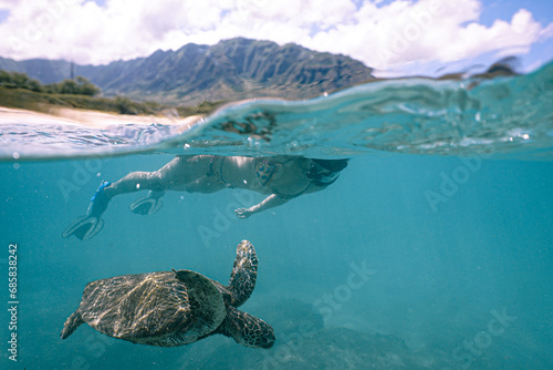 Fototapeta Naklejka Na Ścianę i Meble -  Swimming with Wild Hawaiian Green Sea Turtles in the Beautiful Ocean off Hawaii 