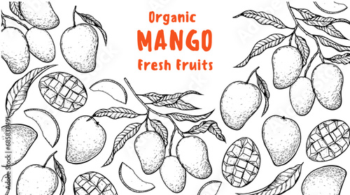 Ripe mango sketch. Hand drawn vector illustration. Tropical fruit. Packaging design, menu design, juice packaging. Mango frame.