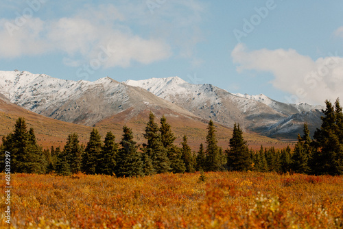 Autumn Meets Winter in the Mountains at Denali National Park, Alaska