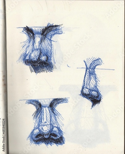 Anatomía de una nariz de diferentes vistas.