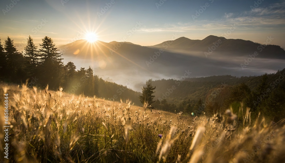 beautiful sunrise in the mountain meadow landscape refreshment with sunray and golden bokeh