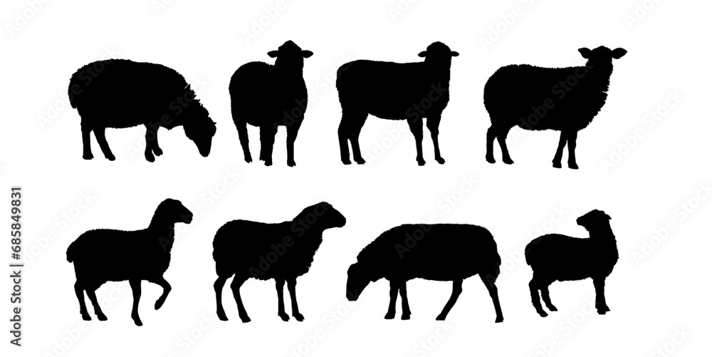 set of silhouettes of sheep	 - obrazy, fototapety, plakaty 