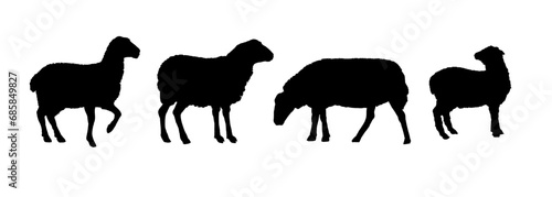 set of silhouettes of sheep	