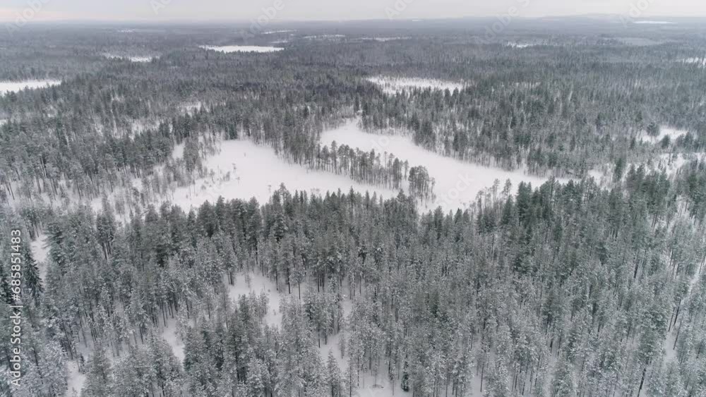 Slow drone flight over a taiga landscape with snow covered boreal forest in northeast Finland
Slow drone flight over a taiga landscape with snow covered boreal forest in northeast Finland
