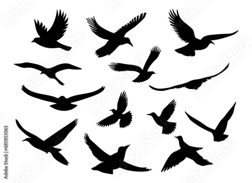 Set of black silhouettes of flying birds.