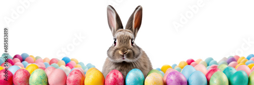 An Easter bunny in the middle of many colorful Easter eggs, background, banner, isolated © Teppi