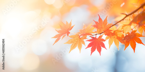 Exploring the Tapestry of Japan's Autumn Season Through the Lens of a Maple Leaves Landscape with a Sublime Blurred Background