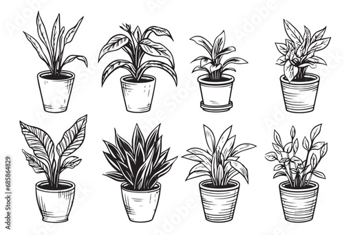 Vector set of sketches house plants in pots on a white background Vector illustration